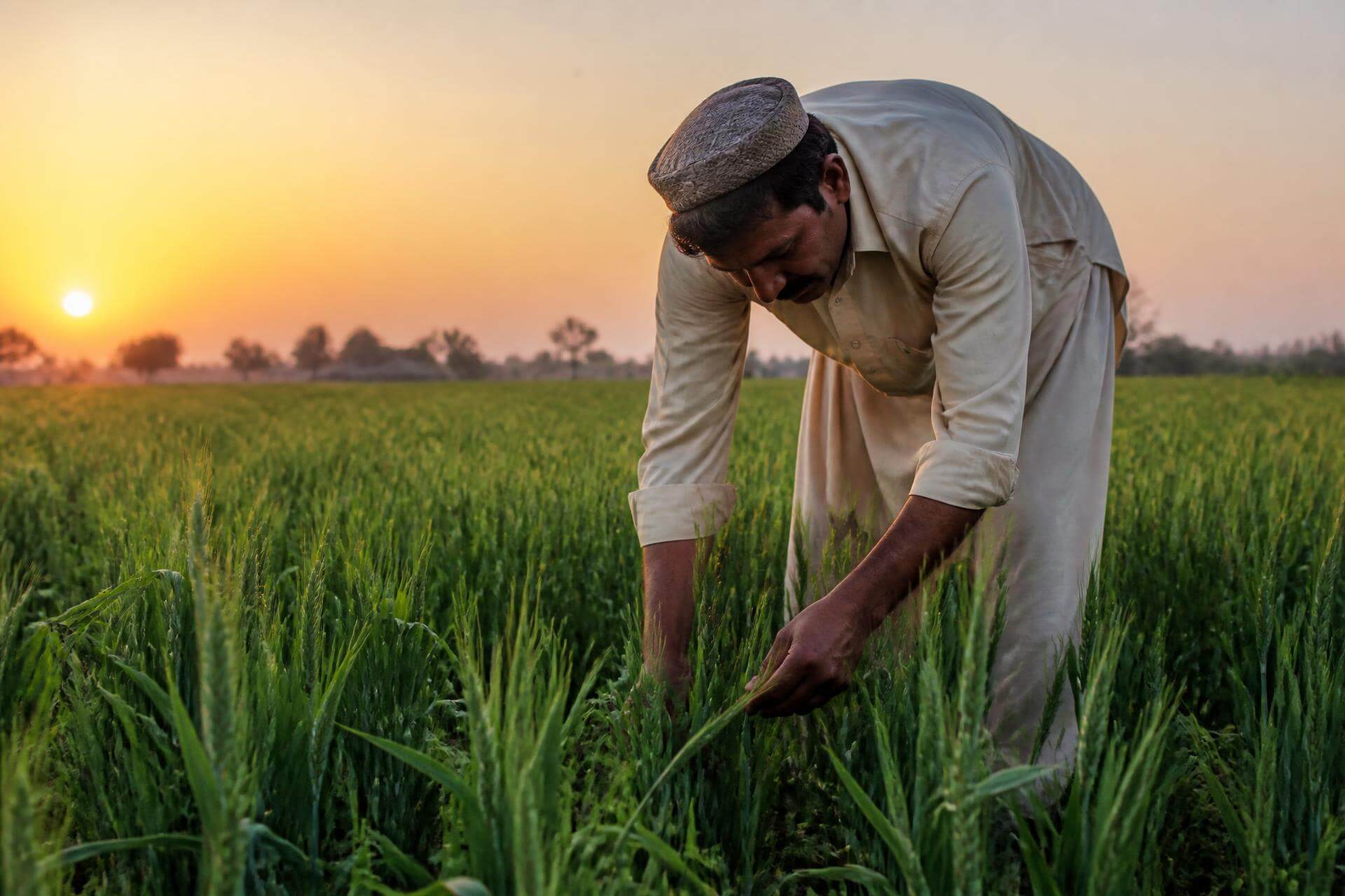 Farmer tending his field, the customer behind every sale